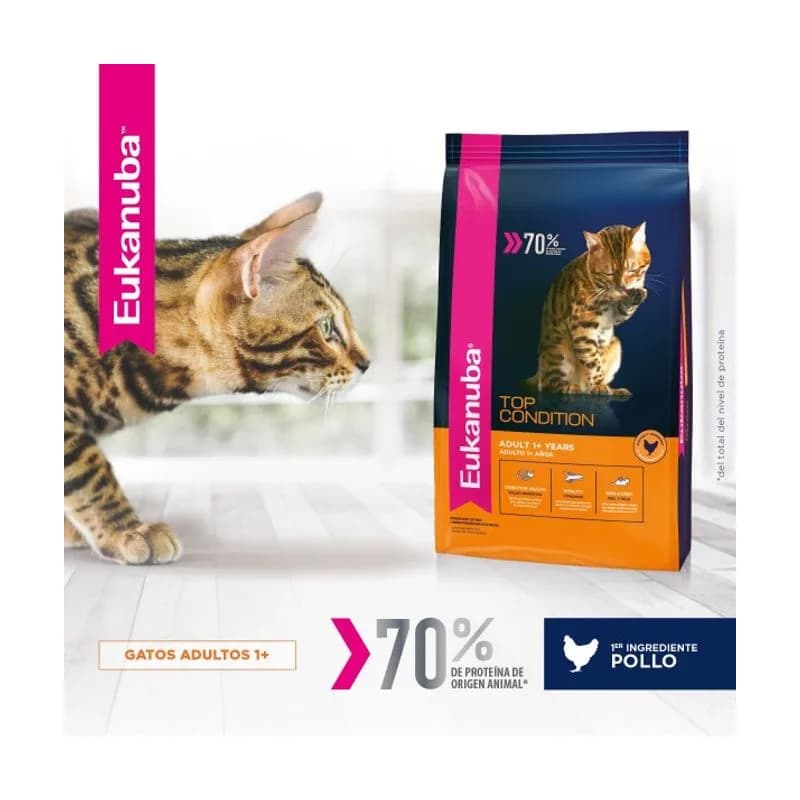Eukanuba Cat Adulto Top Condition x 7 kg